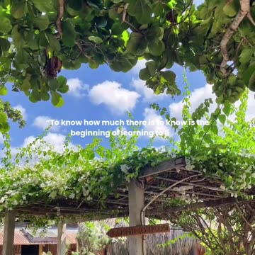 To know how much there is to know is the beginning of learning to live.