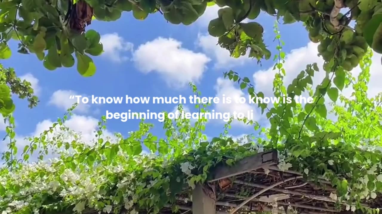 To know how much there is to know is the beginning of learning to live.