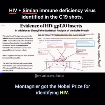 Got that Simian HiV?