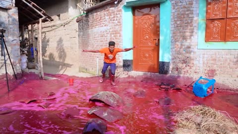 Funny comedy action love