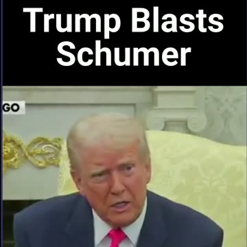 Trump Blasts Schumer