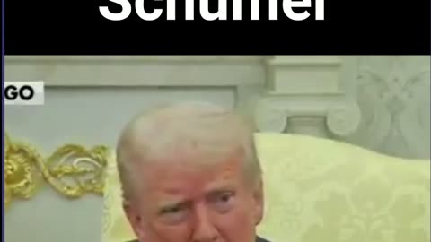 Trump Blasts Schumer