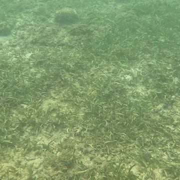 Snorkeling Morning!!