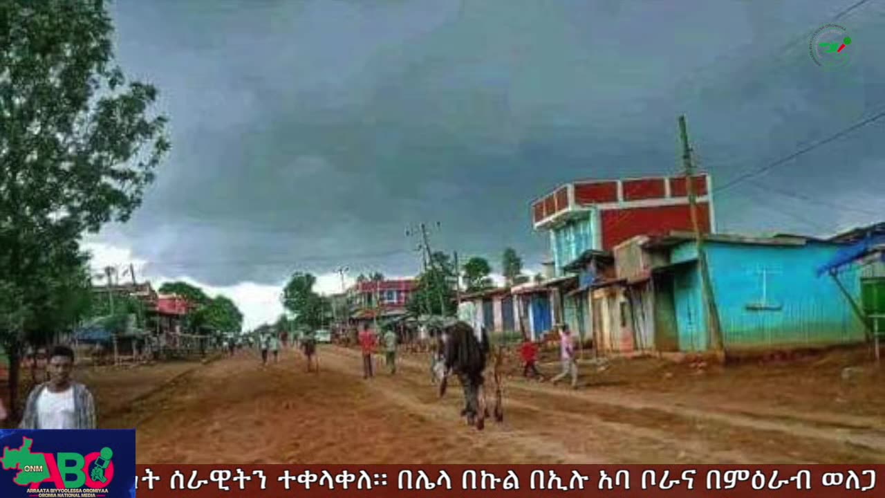 ጥር 15-2025 ONM-ABO እለታዊ የኦሮሞ ነፃነት ሰራዊትና የኦሮሚያ ውሎ!