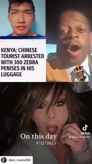 SirOliverPollock(AGENT38)😎 🧐 🤫Are you ready to laugh until you cry?