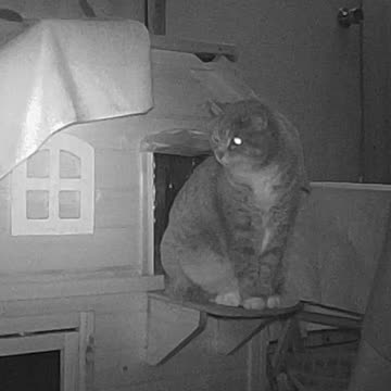 EA S134 - Little Windy Tonight