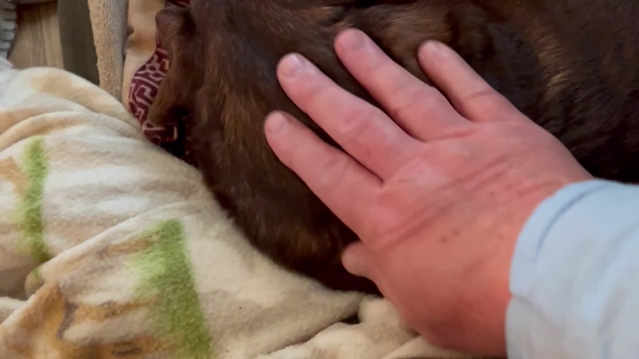 My poor baby