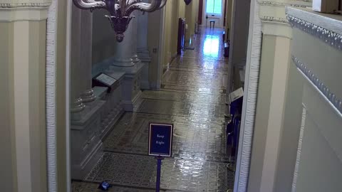0305USCS03SenateGalleryWestnearS324_2021-01-06_15h20min00s990ms.mp4