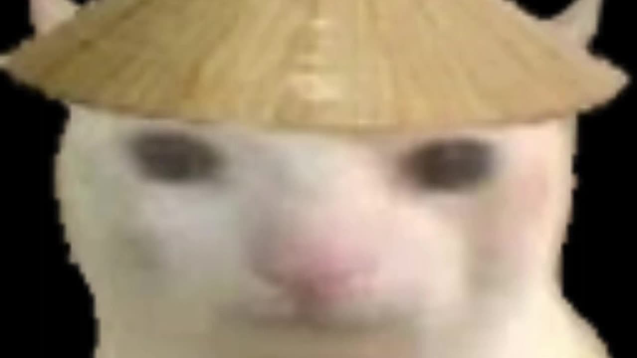 Miao - 孤勇者 Lonely Warrior