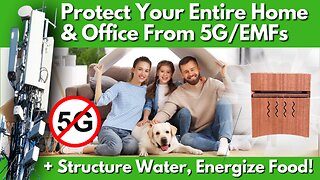 How to Protect Your Entire Family, Homestead & Office from the Pervasive 5G / EMF?