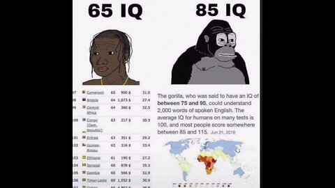 nigger hides christmas tree up her vagina ! 🤦‍♀️💩💩🤡