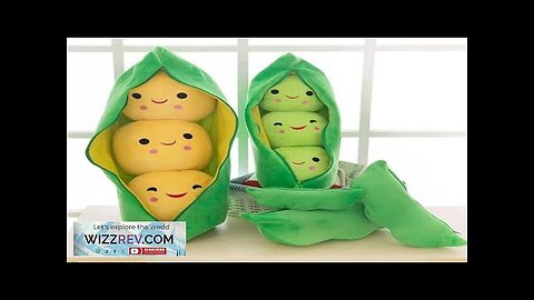 25CM Cute Children's Baby Plush Peas Filled Plant Doll Toy Children Kawaii Review