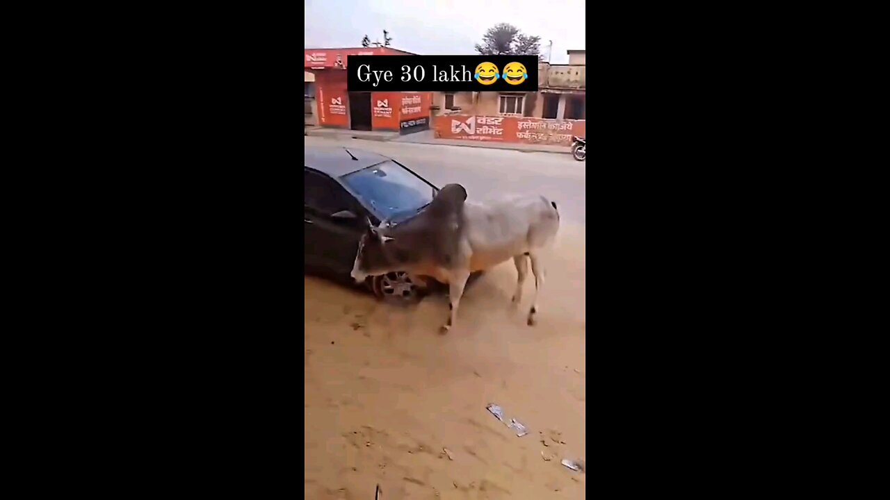 comedy video/funny comedy #comedy #funny #trending