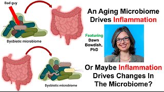 An Aging Microbiome Drives Inflammation, Or Maybe Inflammation Drives Changes To The Microbiome?