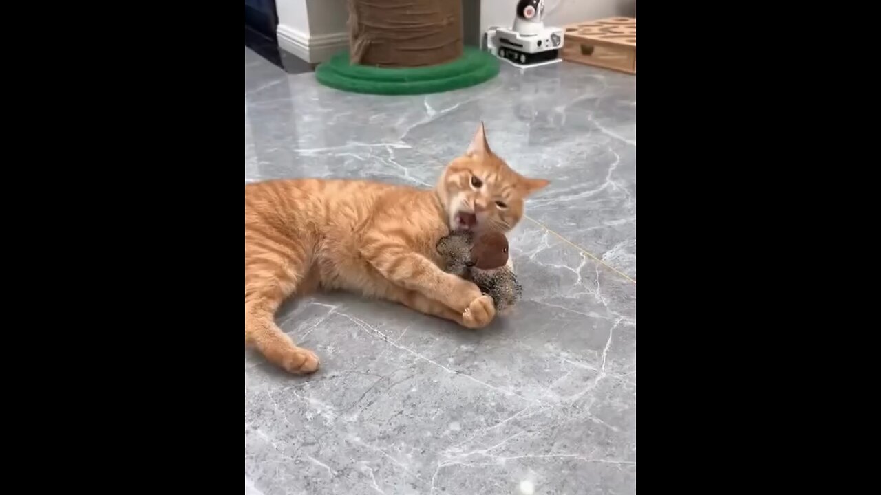 😂
