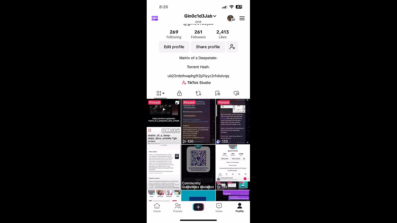 Wondergateleaks Video removed from tiktok 3