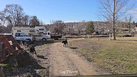 Graham Family Farm: 9:35 AM March 3 2025