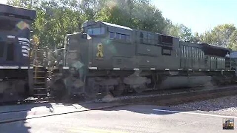 CSX and Wheeling & Lake Erie Trains from Westfield Rd. Creston, Ohio September 21, 2024 Part 4