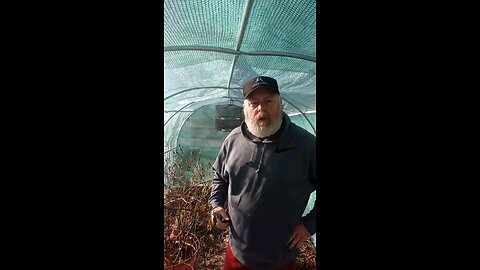 reforming a collapsed greenhouse