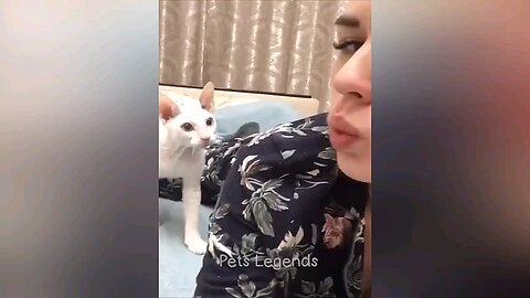 very funny video cat and girl video