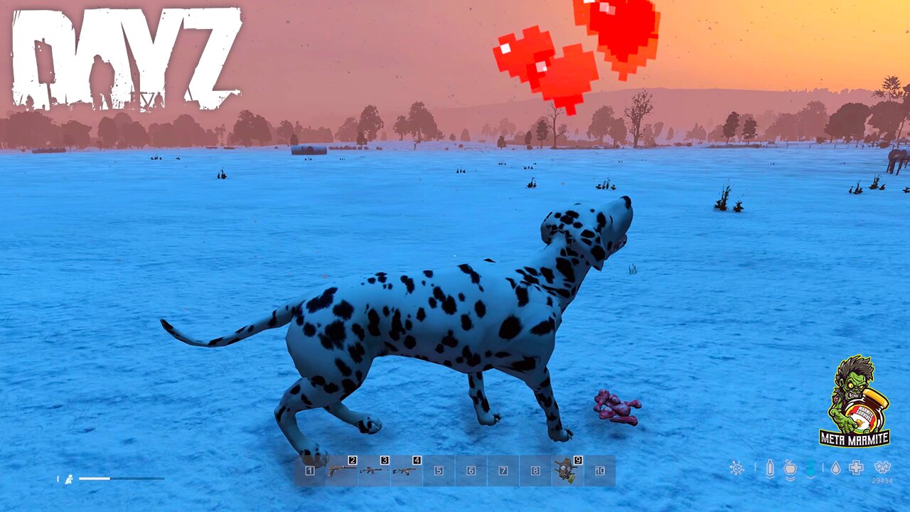 Dayz Doggies