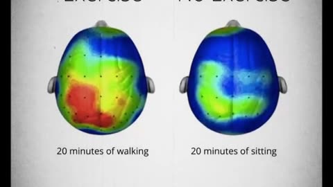 Get up, take a walk, and fuel your brain!