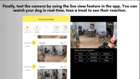 "Furbo 360° Dog Camera 🌟 Get Yours Today: https://amzn.to/4gLUkVI