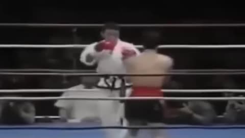 Taekwondo Vs. Muay Thai