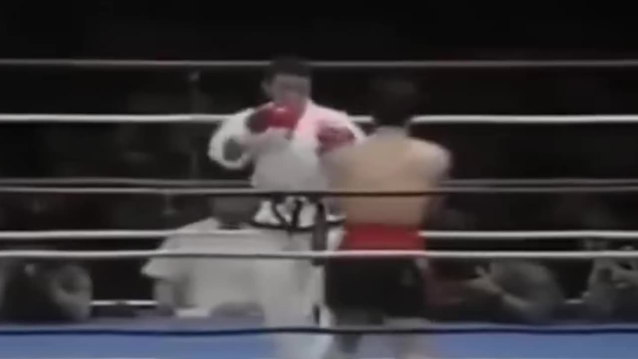 Taekwondo Vs. Muay Thai