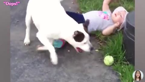 Funny Baby Videos - The Cutest Moments You'll See Today