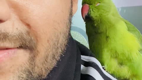 Cute Parrot Voice while sleeping 😧🤩