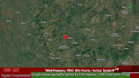 Oduu Galgala ONM-ABO Amajjii 20-2025 itti dhiyaadhaa!