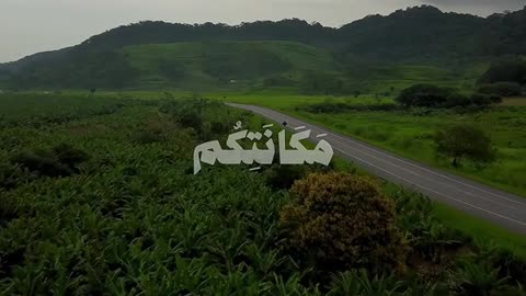 Jaza kallah ♥️✨