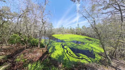 Hiking O'Leno State Park in Florida