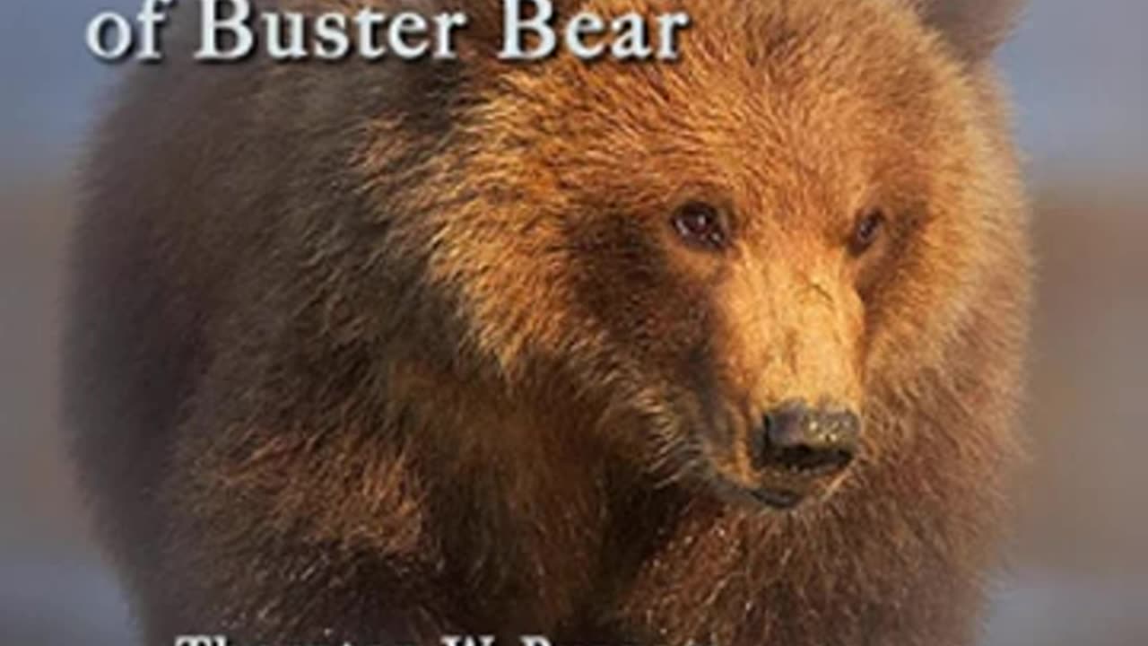 The Adventures of Buster Bear by Thornton W. BURGESS read by John Lieder _ Full Audio Book