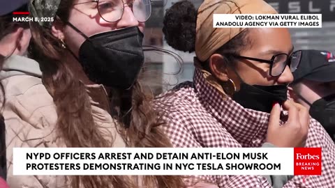 PAID Protesters at Tesla Showroom – Screaming About Clean Air… AT AN ELECTRIC CAR STORE! 😂