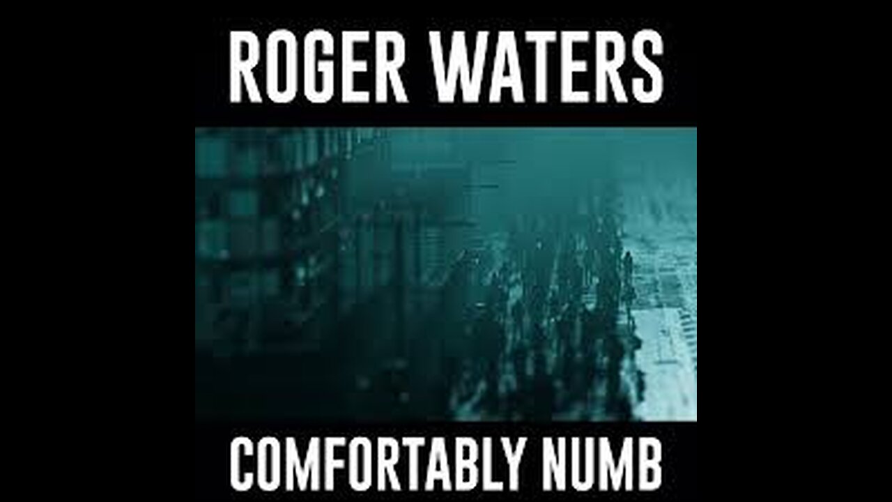 Roger Waters - Comfortably Numb 2022