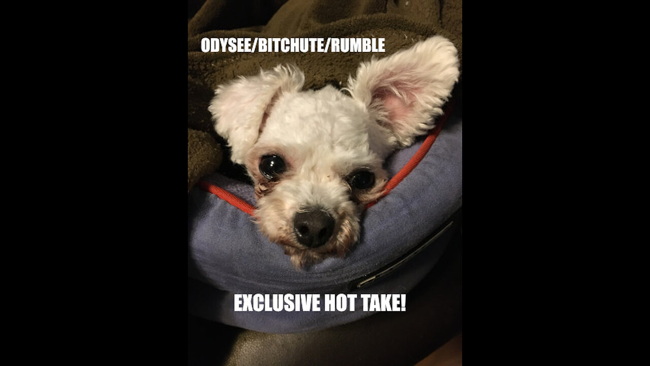 Rumble/Odysee/Bitchute Exclusive Hot Take News Blast! Feb 5th 2025