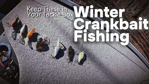 Best Crankbaits For Winter Bass Fishing