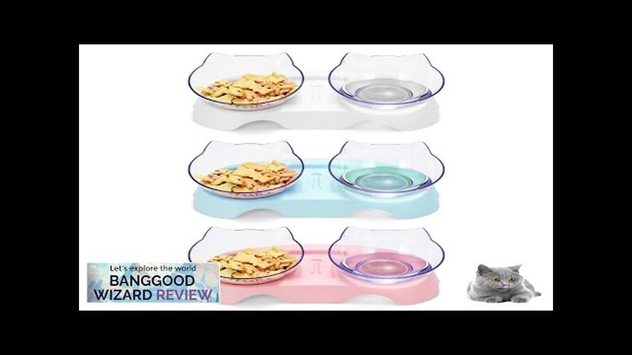 Cat Double Bowl Non-slip Pet Food Water Feeder Dish Elevated Stand Pet Review