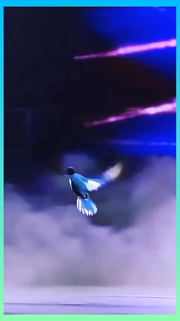 Kithe Chali Kithe Chali ban ke kabutari #diler kharkiya #tranding