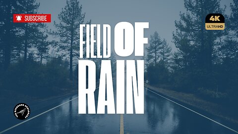 30 Minutes of Relaxing Rain in a Field: Natural Sounds for Stress Relief