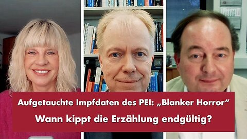 " DIE 'PLÖTZLICH' AUFGETAUCHTEN IMPFDATEN DES P.E.I. " - Dr. Gerald Dyker , Dr. Jörg Matysik