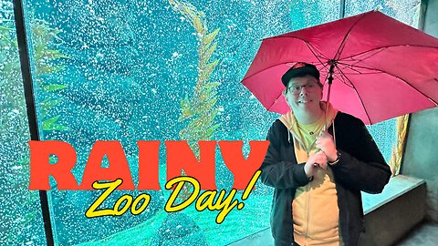 Roaming with Ryan: San Diego Zoo (Rain or Shine!)