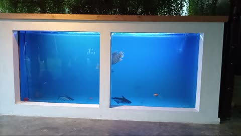 Fish tank modification