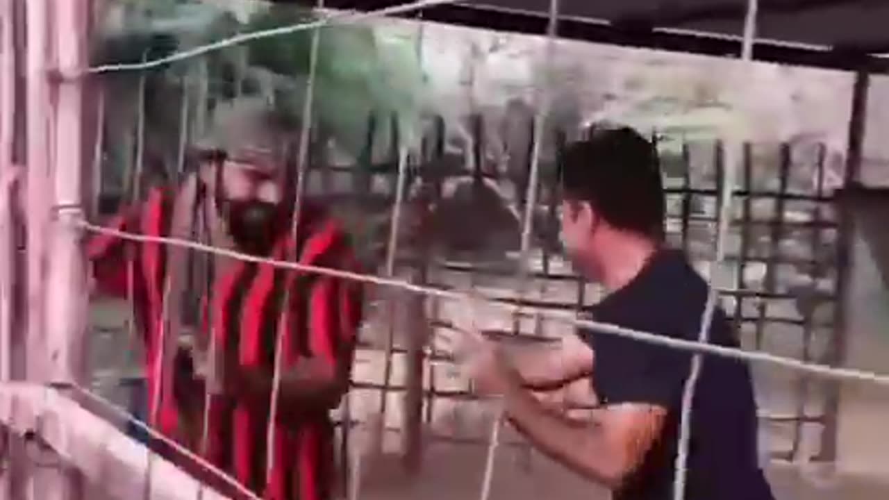 Only monkeyš¤£