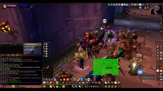 Turtle Wow - MM weekly AQ40 - 11 February - paladin POV