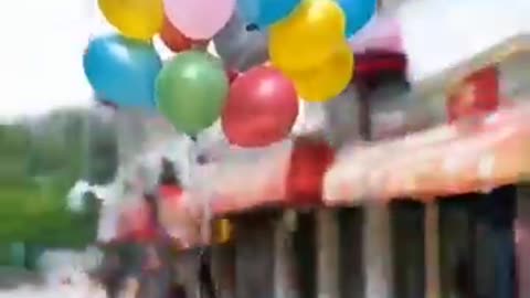 Monkey flew with ballons! #helium ballon #monkey #funny animals