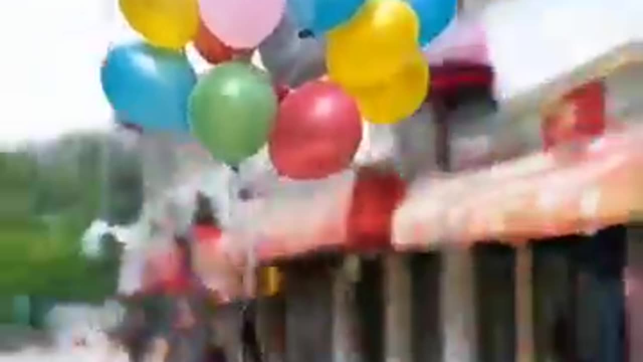 Monkey flew with ballons! #helium ballon #monkey #funny animals