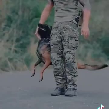 Dogs humans best friend